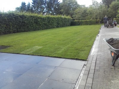 Nieuwe grasmat in Winschoten