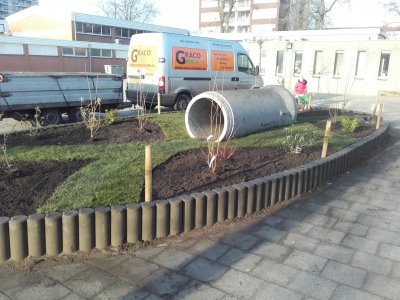 voorbeeld foto Graszoden bij schoolplein in Emmen