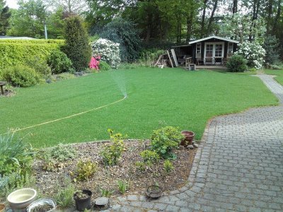 Bekijk Graszoden in tuin in Emmen