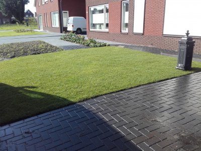 Bekijk Graszoden in voor-en achtertuin in Klazienaveen